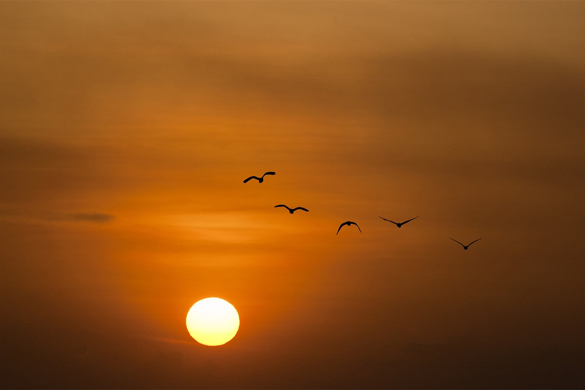 Die Sonne